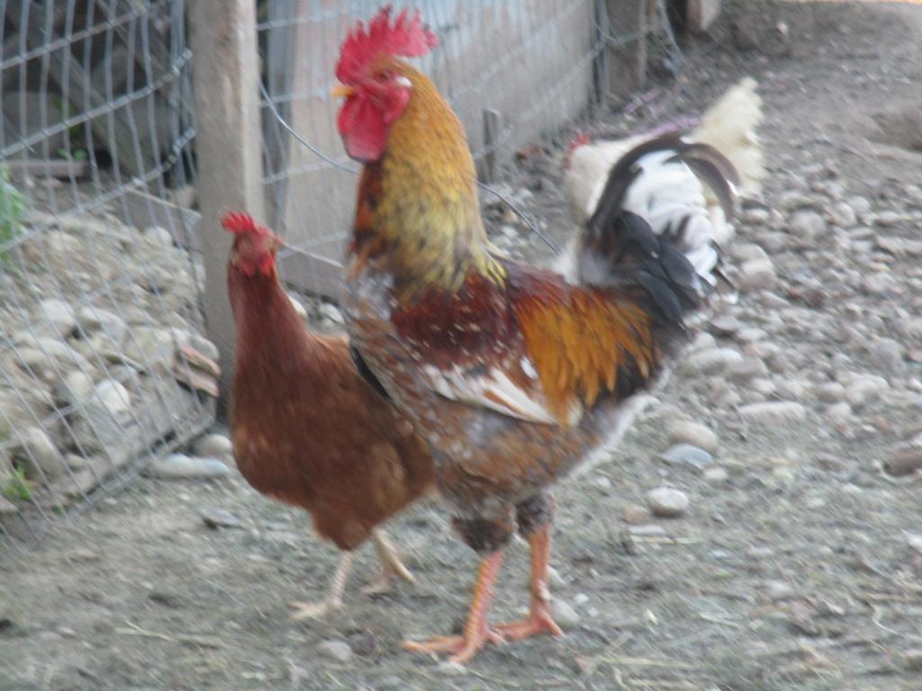 فيلا Stefflhof Gabersdorf المظهر الخارجي الصورة
